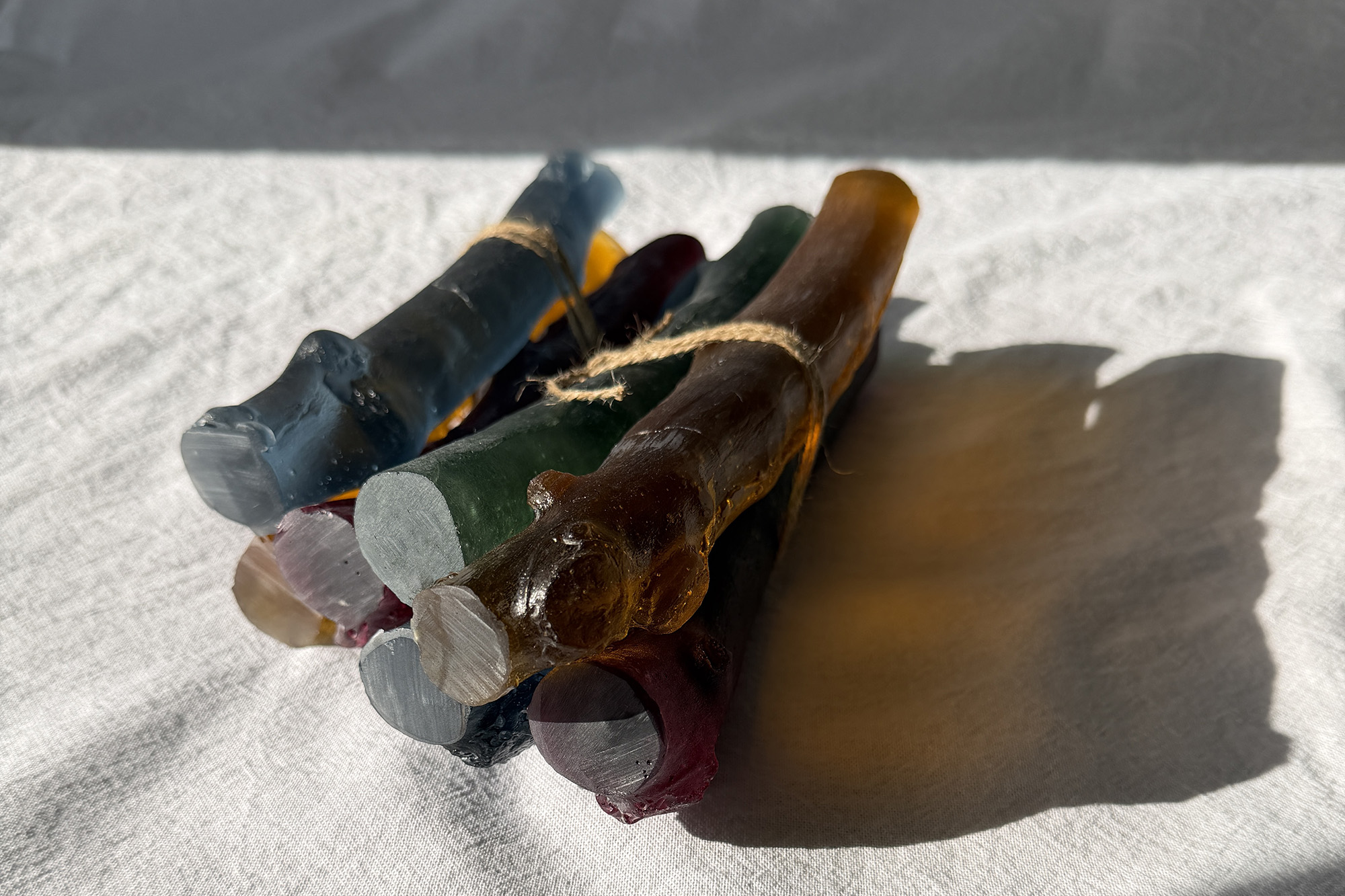 Still Life - autumn | Urban Nature Project 2026 | Naoko Ito