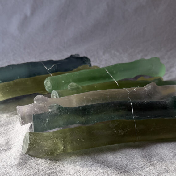 Still Life- spring | Urban Nature Project 2026 | Naoko Ito