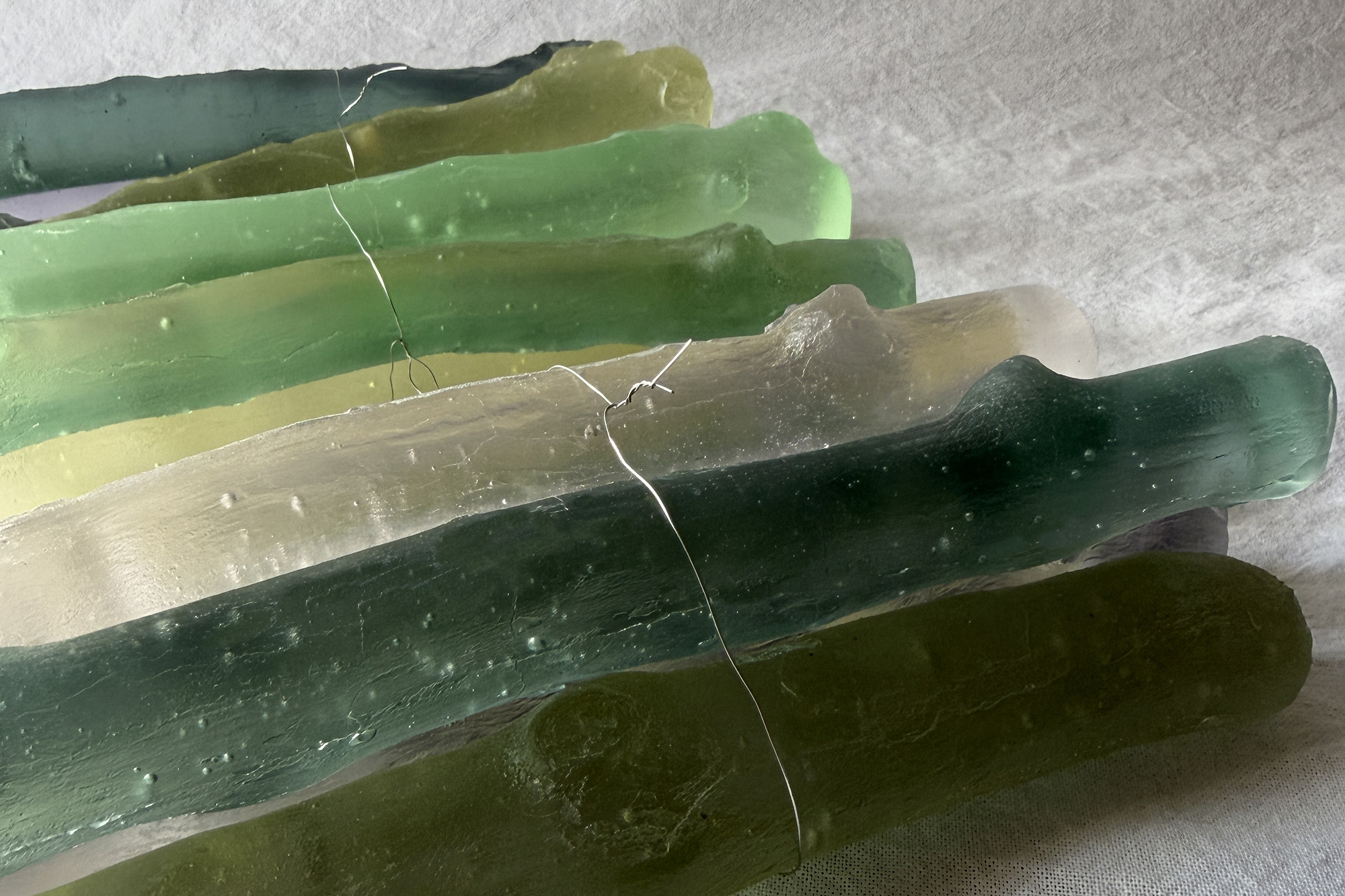 Still Life- spring | Urban Nature Project 2026 | Naoko Ito