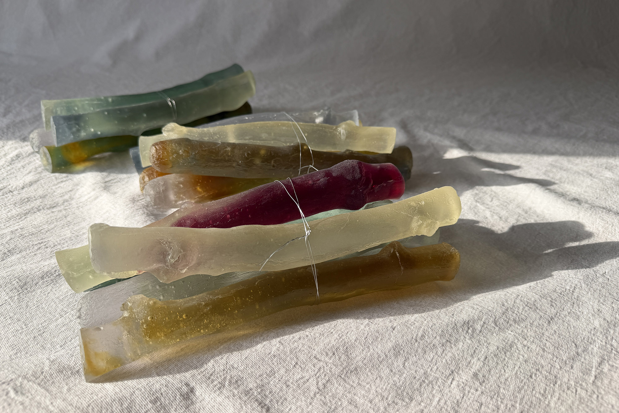 Still Life- summer | Urban Nature Project 2026 | Naoko Ito