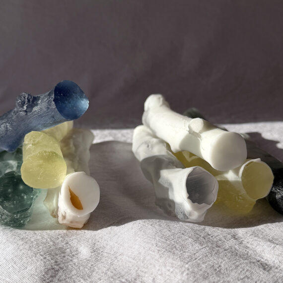 Still Life - winter | Urban Nature Project 2026 | Naoko Ito