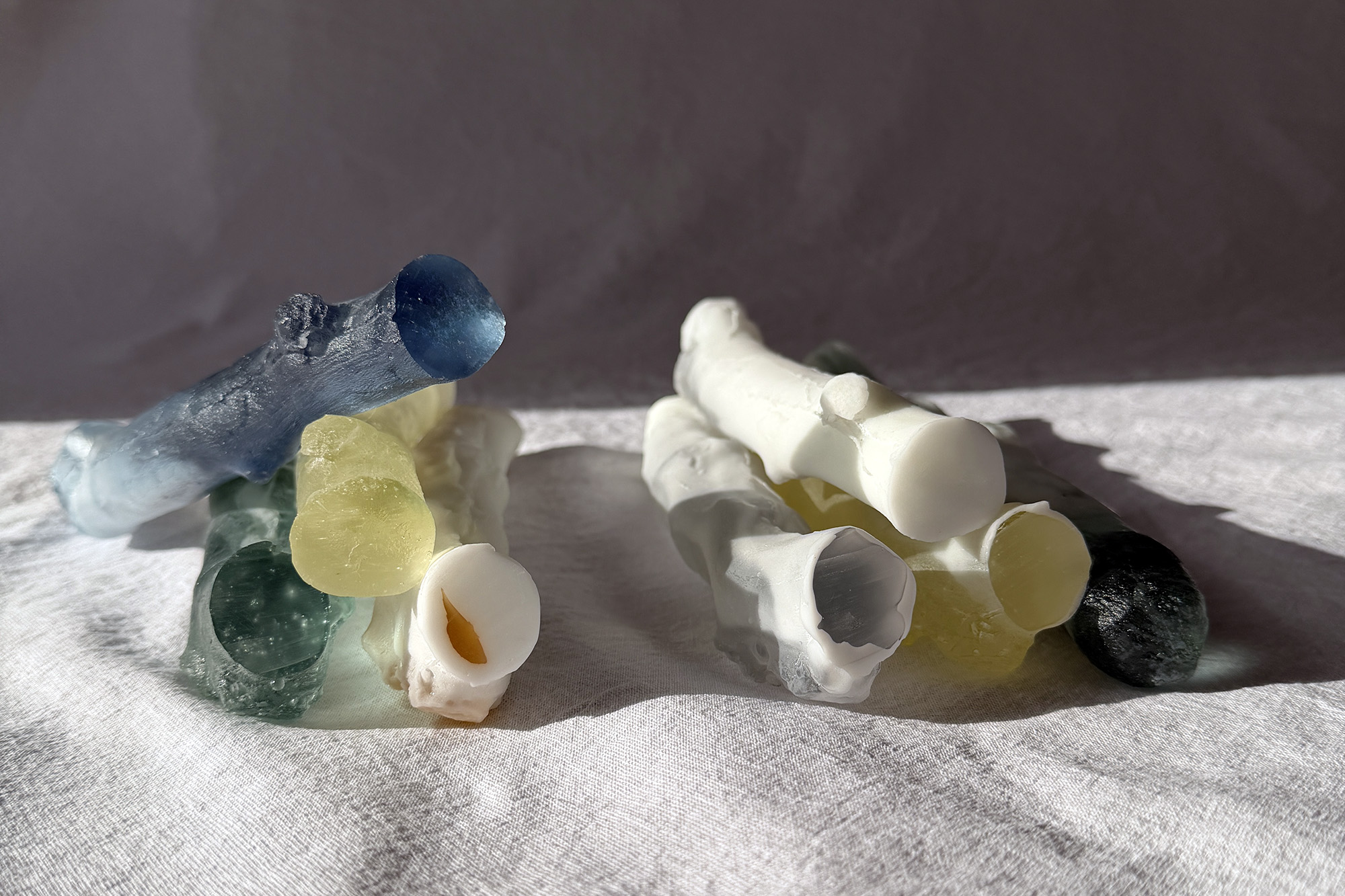 Still Life - winter | Urban Nature Project 2026 | Naoko Ito